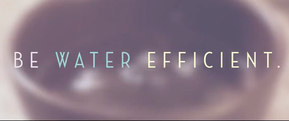 every drop counts cover portrait