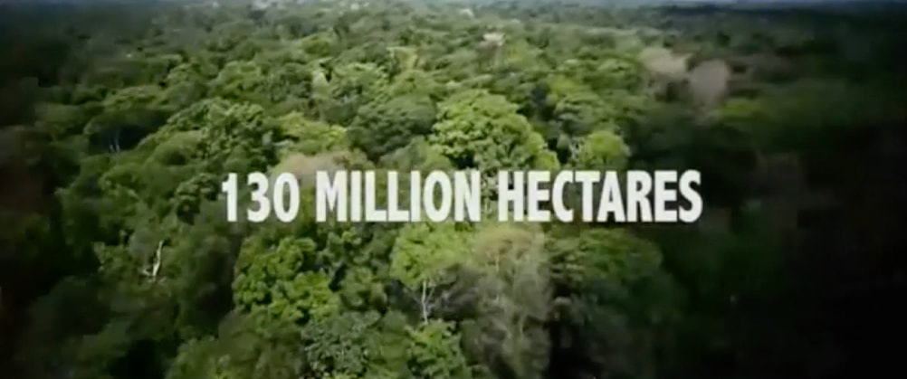 Deforestation and Population Growth: a Visual Essay cover portrait