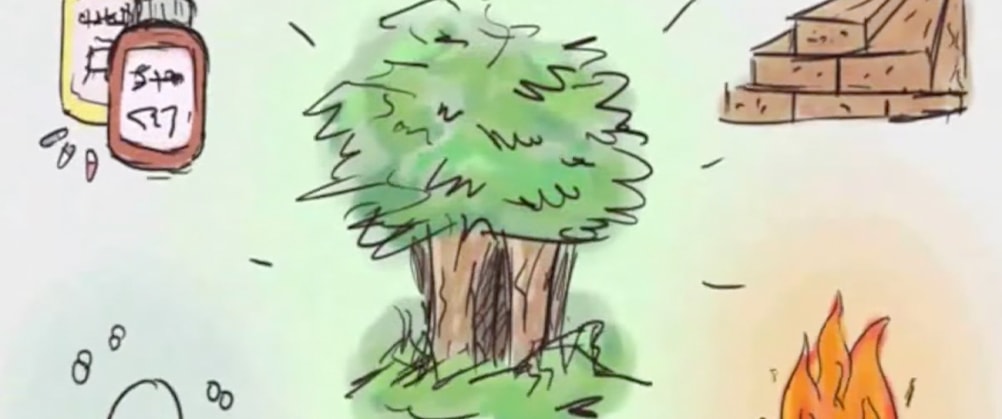 Deforestation – A Problem For All cover portrait