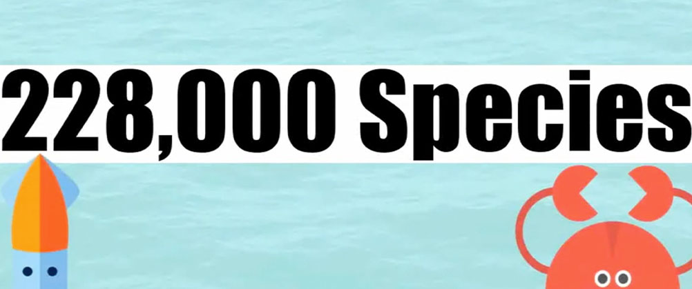 whats to lose cover portrait