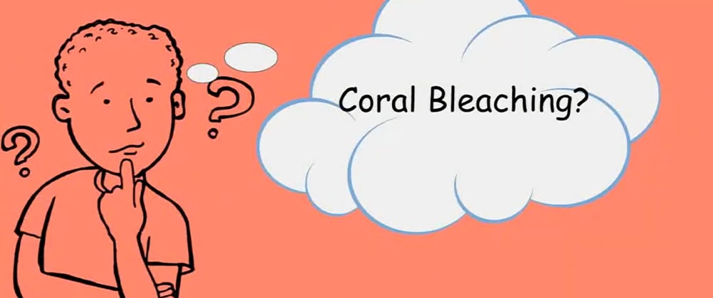 you can be the change cover portrait