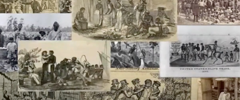 Stepping Toward a Freer World cover portrait