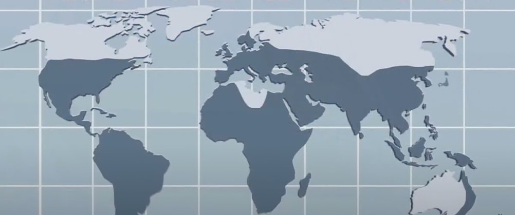 For a More Nurturing World cover portrait