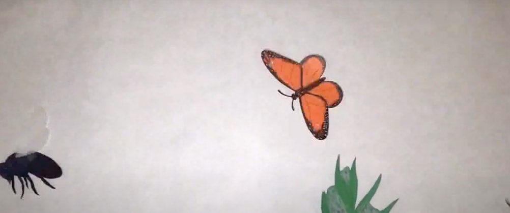 Pollinators and the Human Population cover portrait