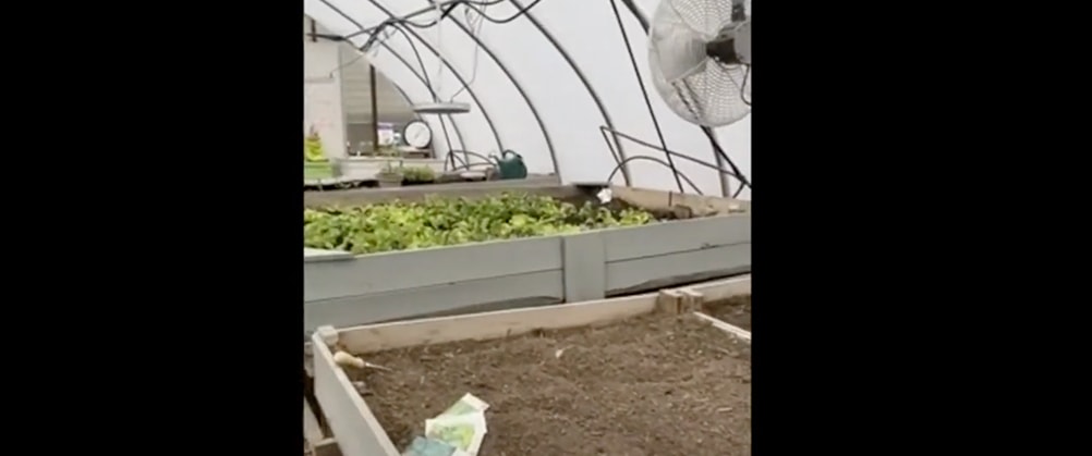 Urban Greenhouse Grocery Stores cover portrait