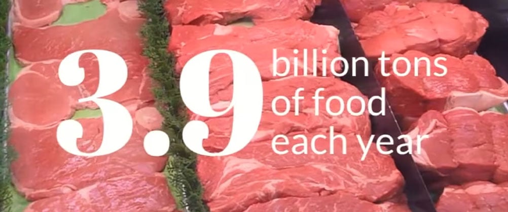 Animal Feeding Operations cover portrait