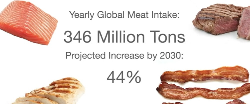 Lab-Grown Meat - Future Proteins cover portrait