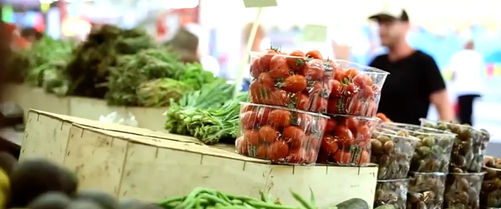 Aquaponics: A Self-Sustainable Solution to the Rising Demand for Food and Water cover portrait