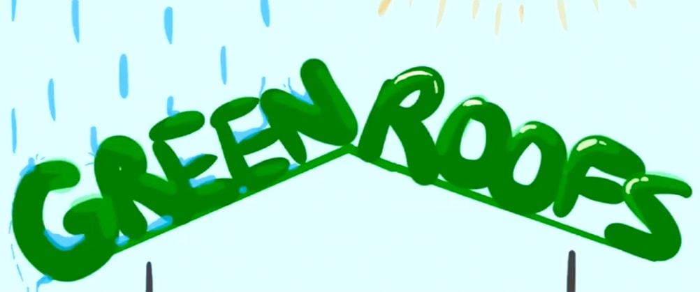 Beat the Heat: Implementing Green Roofs cover portrait