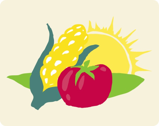 Agriculture & Food illustration