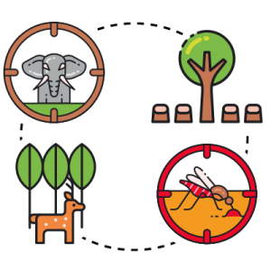 Preserving Biodiversity diagrams