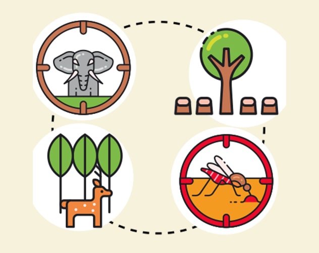 Preserving Biodiversity diagrams