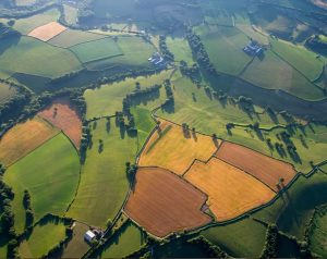 aerial view of farmland