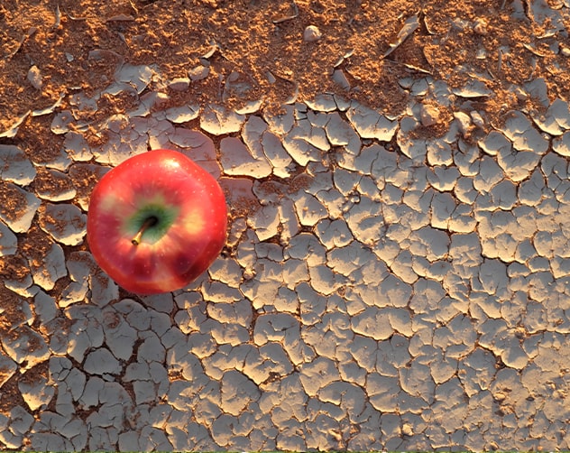 food desert concept