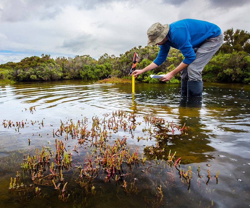 scientist measuring data about climate change