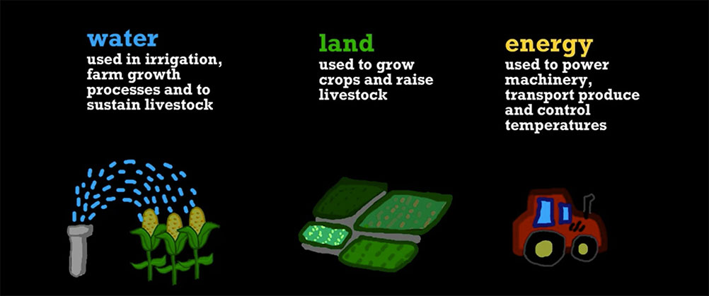 Creating a Circular Food Industry