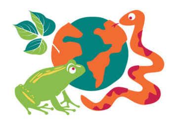 invasive species illustration