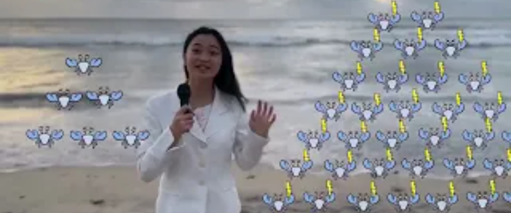 Mediterranean's Most Wanted The Crab Invaders