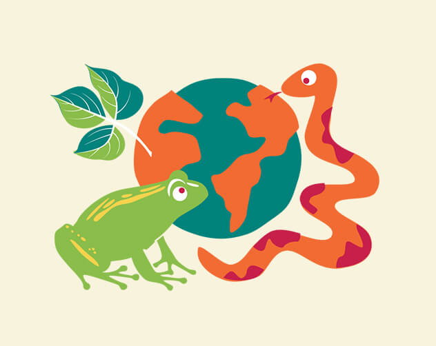 invasive species icon