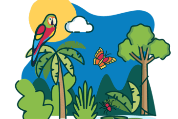 rainforest ecosystems illustration
