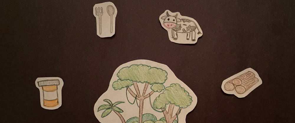 Banner of deforestation of rainforests