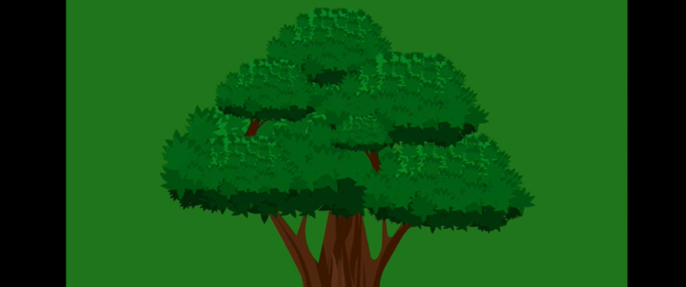 Banner of Hemp: The Future of Forests
