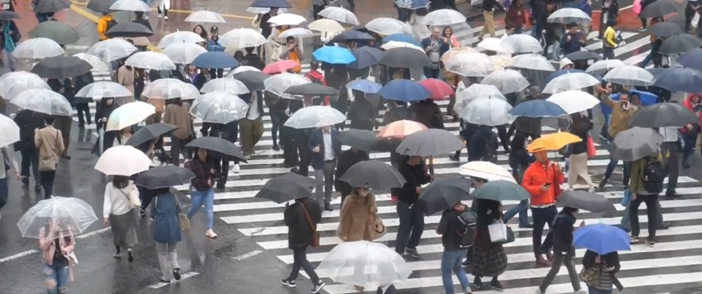 Banner of rain runoff and 8 billion how population growth pollutes our water