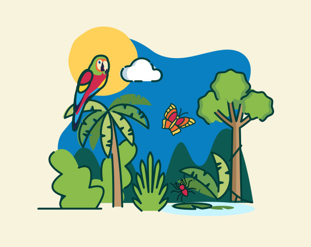 Rainforest Ecosystems Featured Image