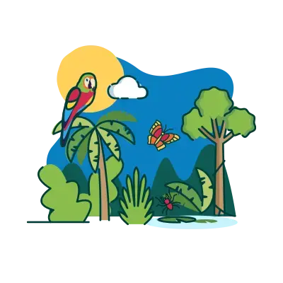 rainforest ecosystems illustration