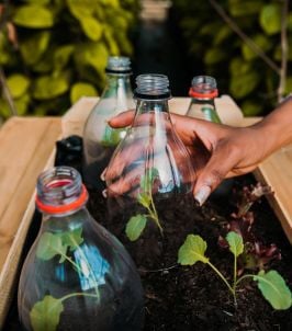 reusing plastic bottles