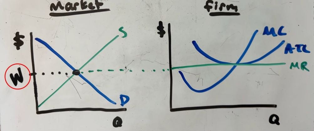 Monopsonies and Low Wages