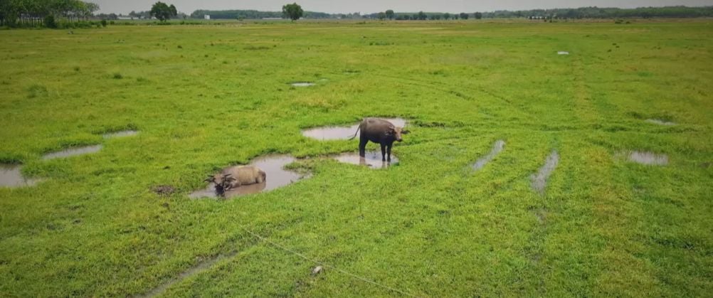 Protecting Wetlands for Our Common Future
