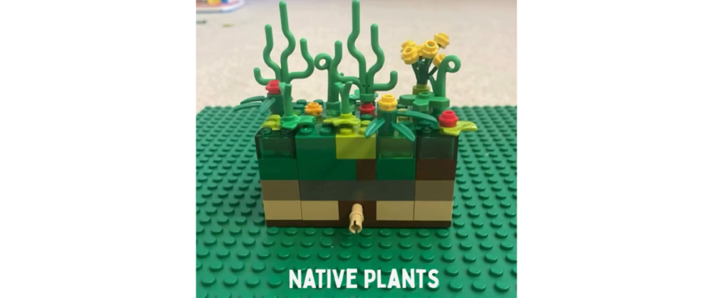 Wetlands Nature's Microplastic Battlefield