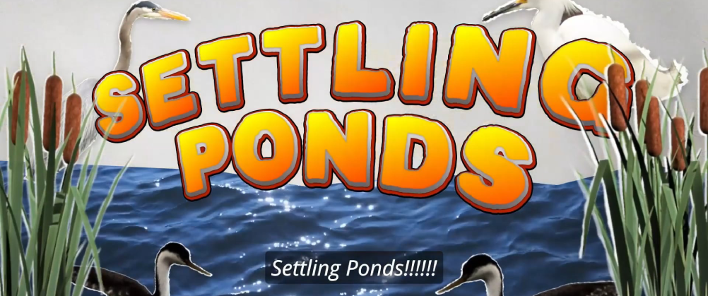 settling for a pound